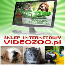 Videozoo - logo