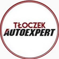 Tloczek - logo