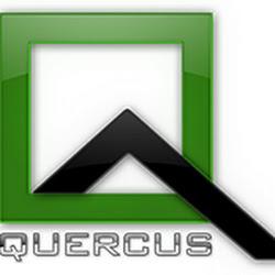 Quercus dom - logo
