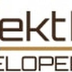 Projektdomdeweloper - logo