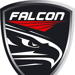 Falconroweryelektryczne - logo