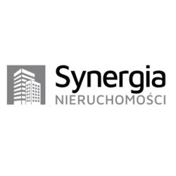 Synergianieruchomosci - logo