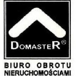 Domaster - logo