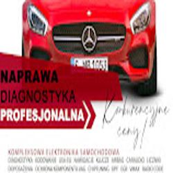 Autoelektronikapoznan - logo