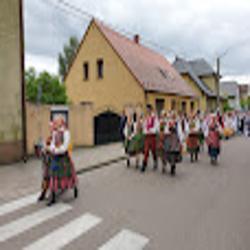 Dompolskizakrzewo - logo
