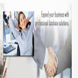 Businessdatabasesolutions - logo
