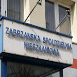 Zabrzezsm - logo