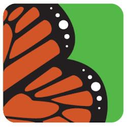 Brand4market - logo
