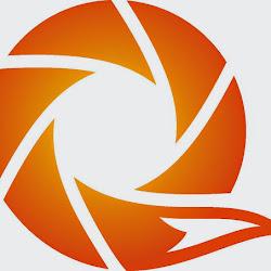 Damianlis - logo