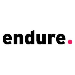 Endure - logo