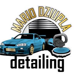 Dziupladetailing - logo