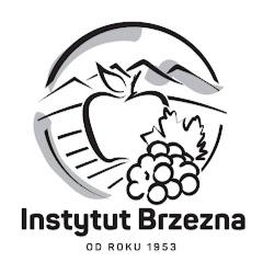 Brzezna - logo