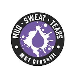 Mudsweattears - logo
