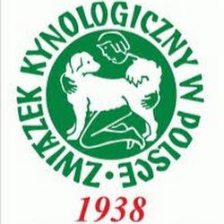 Zkwp-bedzin - logo