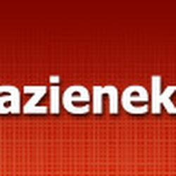 Salonlazienek - logo