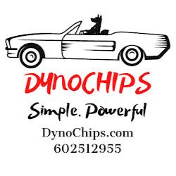 Dynochips - logo