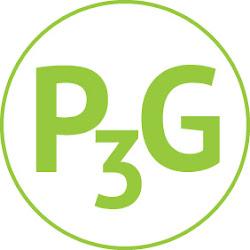 P3ginc - logo