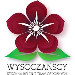 Wysoczanscy - logo