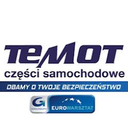 Temot - logo