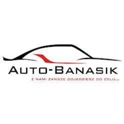 Auto zastepcze - logo