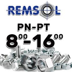 Remsol - logo