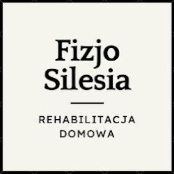 Fizjosilesia - logo