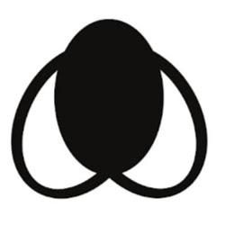Flywebsite - logo