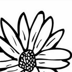 Kwiaciarnia szarotka - logo