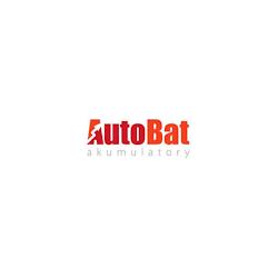 Auto bat - logo