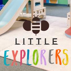 Littleexplorersflorida Palm Harbor - logo