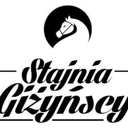 Stajniagizynscy - logo