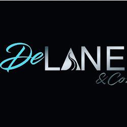 Delanecomp - logo