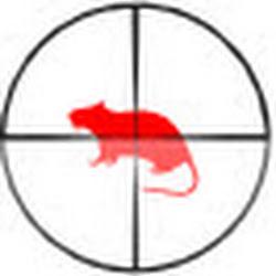 Deratyzacja24 - logo