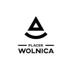 Placeknapoletana - logo