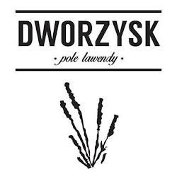 Dworzysk - logo