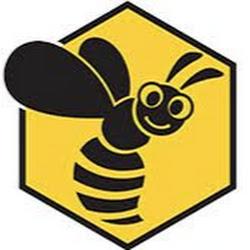 Dzika pszczola - logo