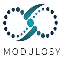 Modulosy - logo