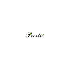 Okna-prestiz - logo