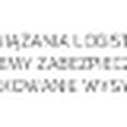 Opakowanialeszno - logo