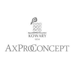 Axproconcept - logo