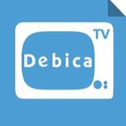 Debica - logo
