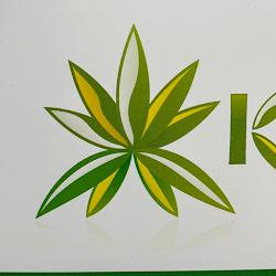 Kosowscy - logo