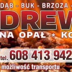 Drewno - logo