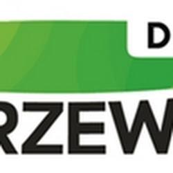 Zakrzewskidental - logo