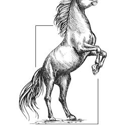 Amg - logo