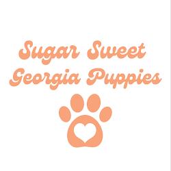 Puppiesforsalelocalbreeders - logo