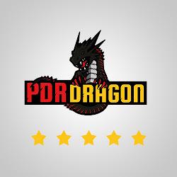 Dragon pdr - logo