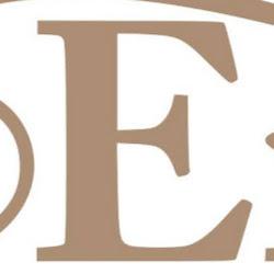 Emized - logo