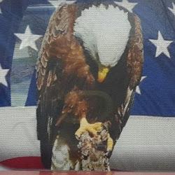 Eagleautobodyinc - logo