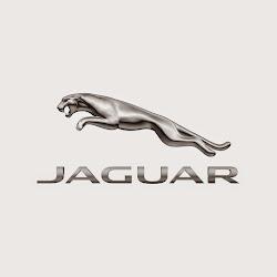 Jaguarsouthampton - logo